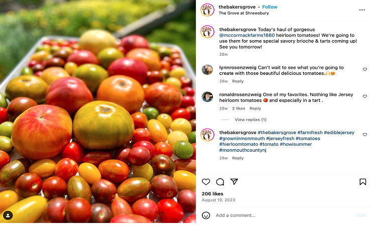 User-Generated Content (UGC) - Instagram